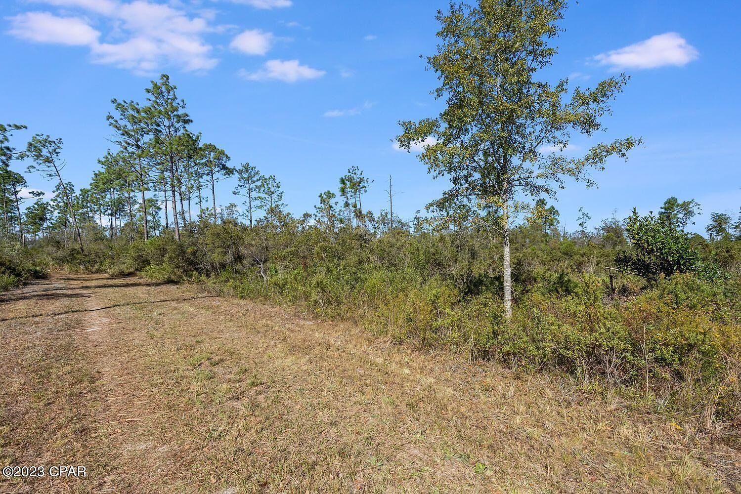 11709 Poinsettia St Fountain, FL 32438 - Thumbnail 5