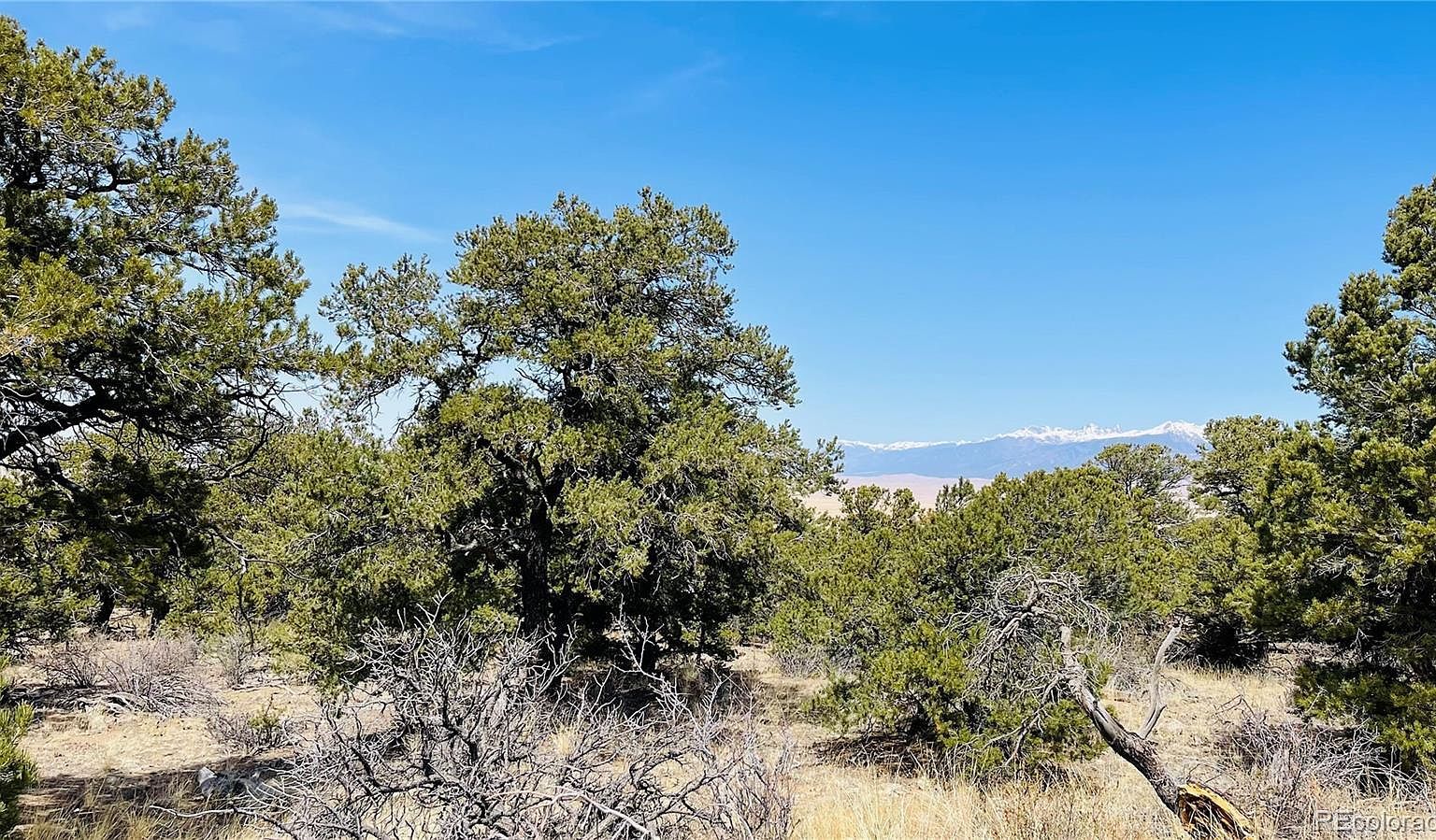 107 Ute Dr UNIT 2 Mosca, CO 81146 - Thumbnail 5