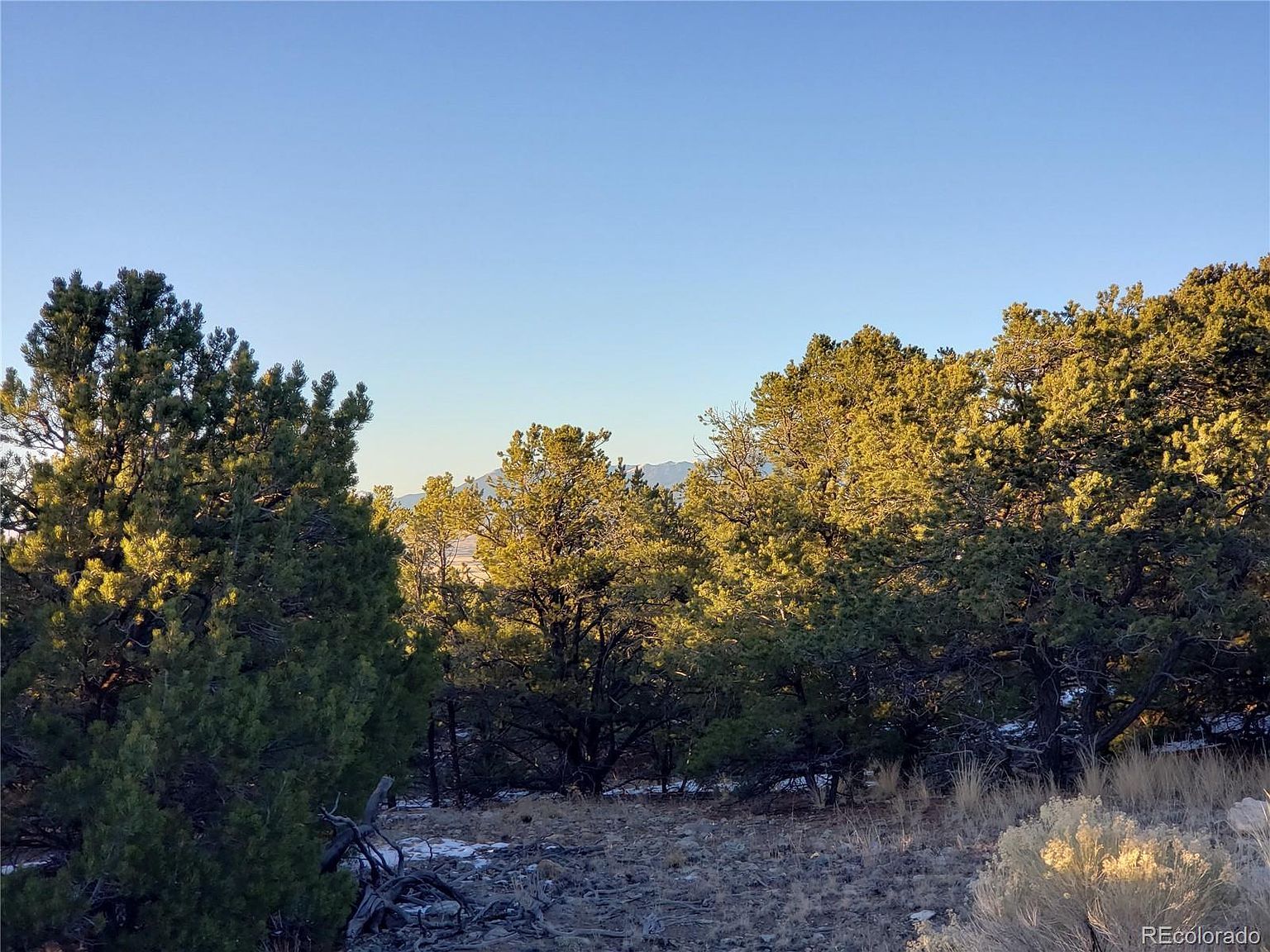 103 Arrowhead Ln #13 Mosca, CO 81146 - Thumbnail 5