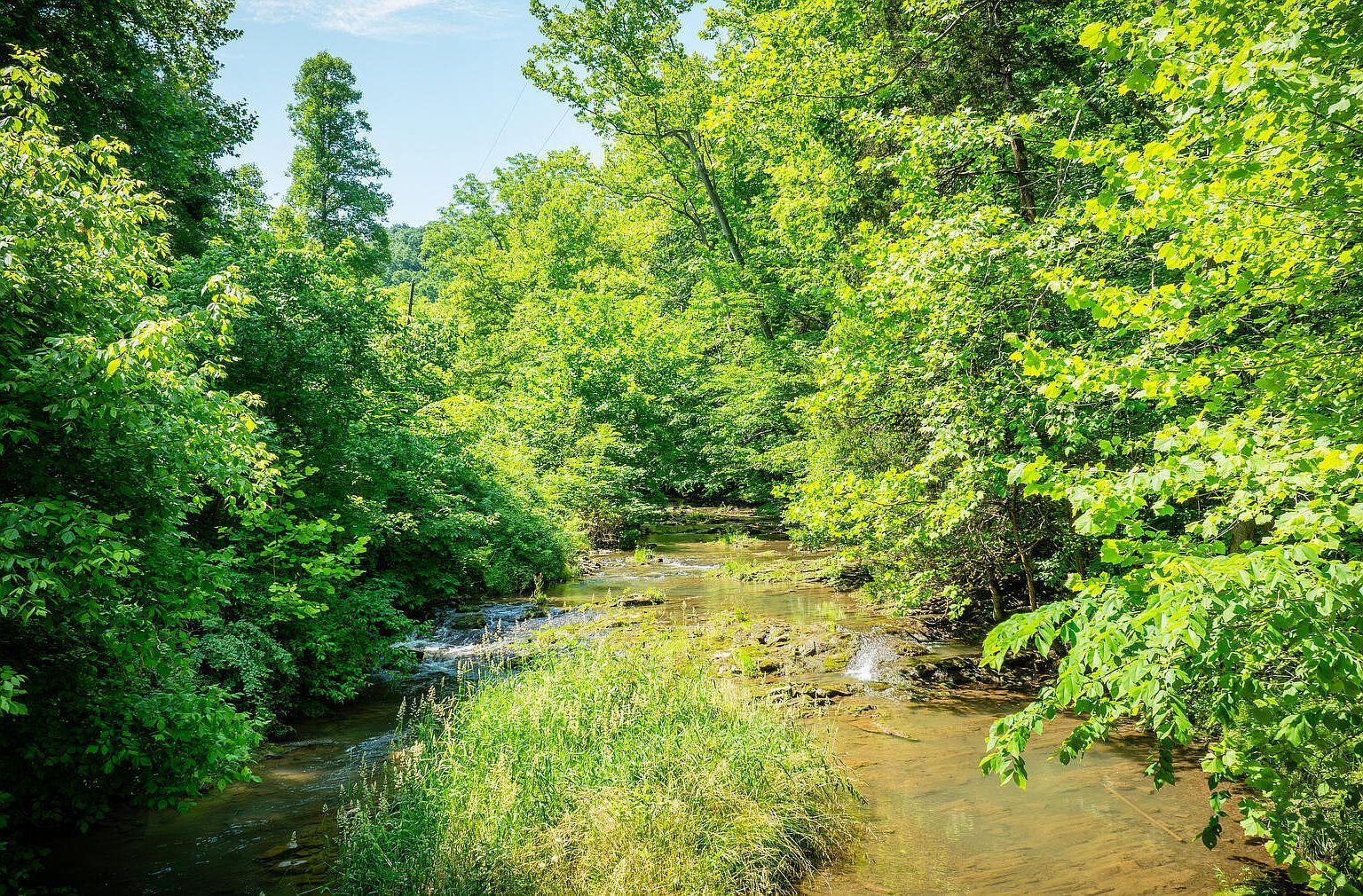 Eb Hollow Rd Eidson, TN 37731 - Thumbnail 5