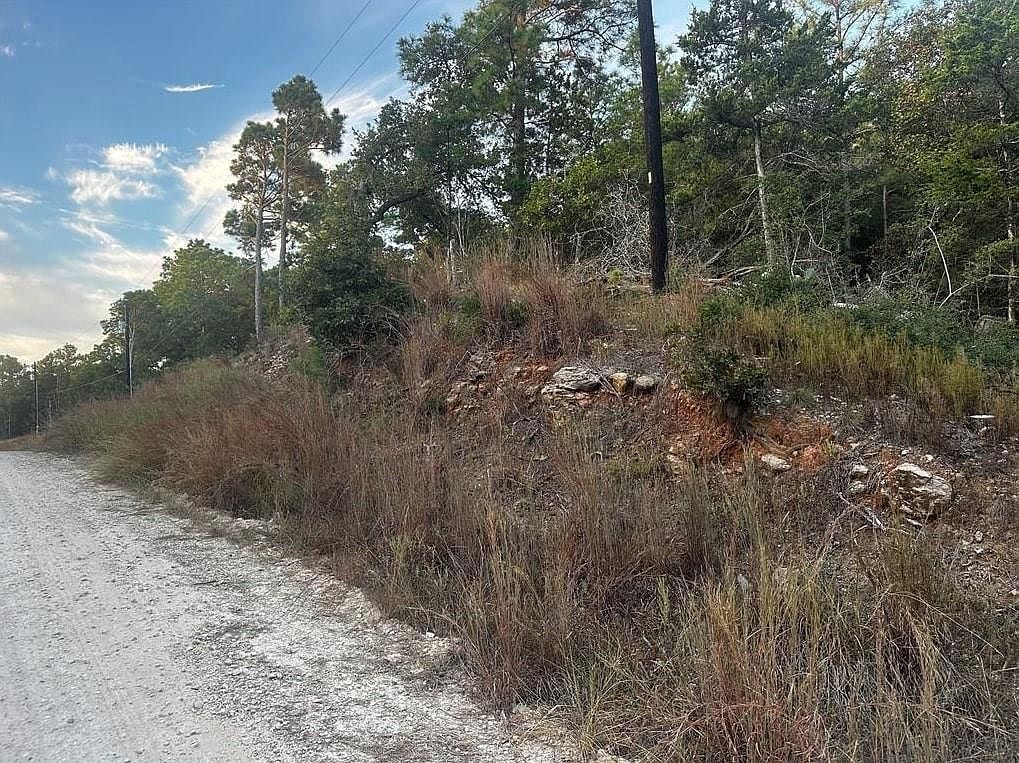 170 Molokini Dr Bastrop, TX 78602 - Thumbnail 5