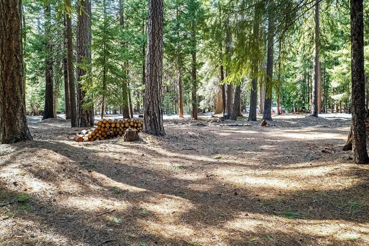 LOT 6 Colossians Way Shingletown, CA 96088 - Thumbnail 5