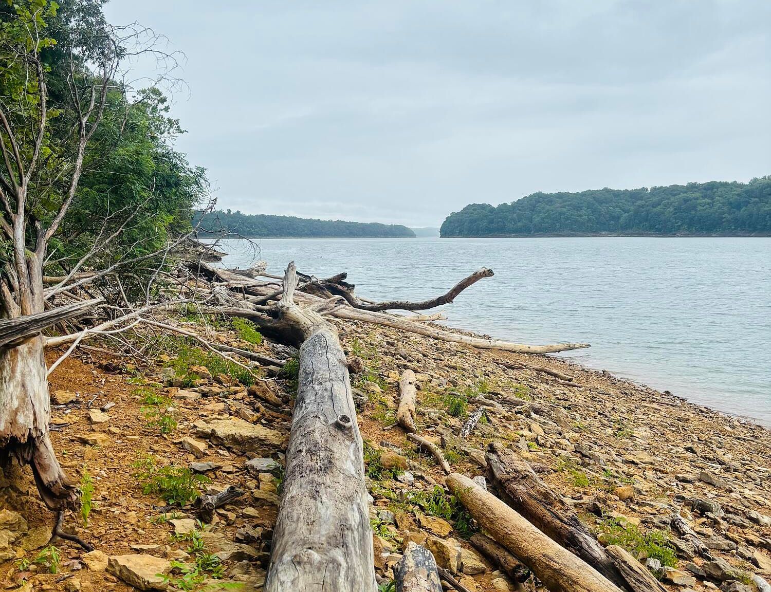 8 Beechwood Dr Nancy, KY 42544 - Thumbnail 5