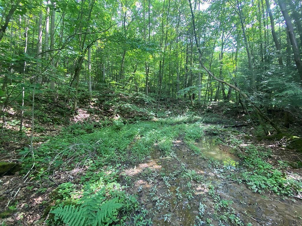 Pleasant View Dr Johnstown, PA 15905 - Thumbnail 5