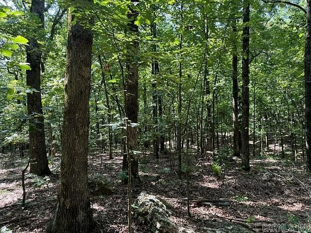 Springview Rd Pocahontas, AR 72455 - Thumbnail 5