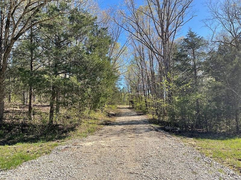 18851 Highway 90 W Ravenden Springs, AR 72460 - Thumbnail 5