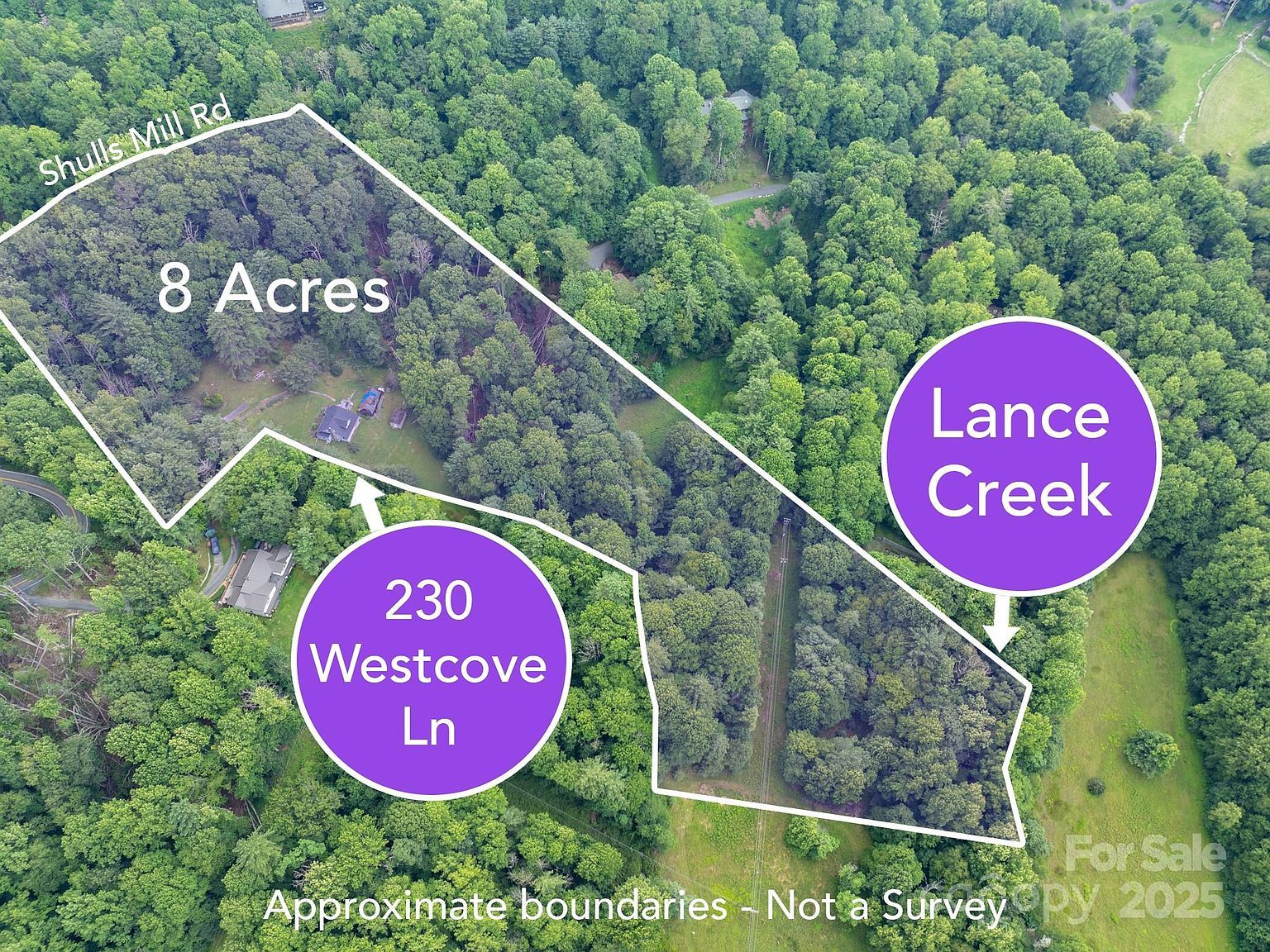 230 Cove Ln Boone, NC 28607 - Thumbnail 5