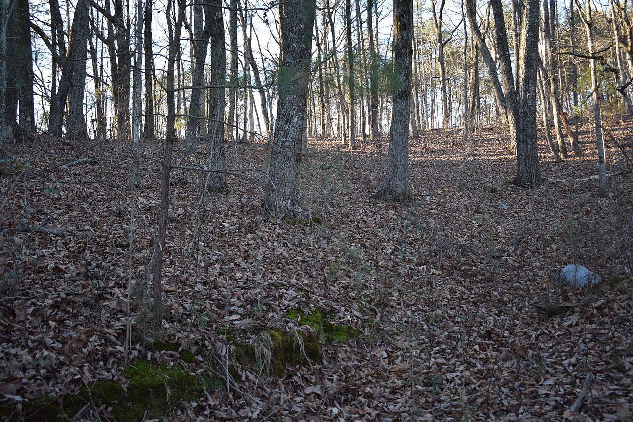 1 Eldridge Ln SW Cleveland, TN 37311 - Thumbnail 5