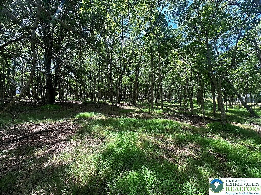 0 Hunter Ln Albrightsville, PA 18210 - Thumbnail 5