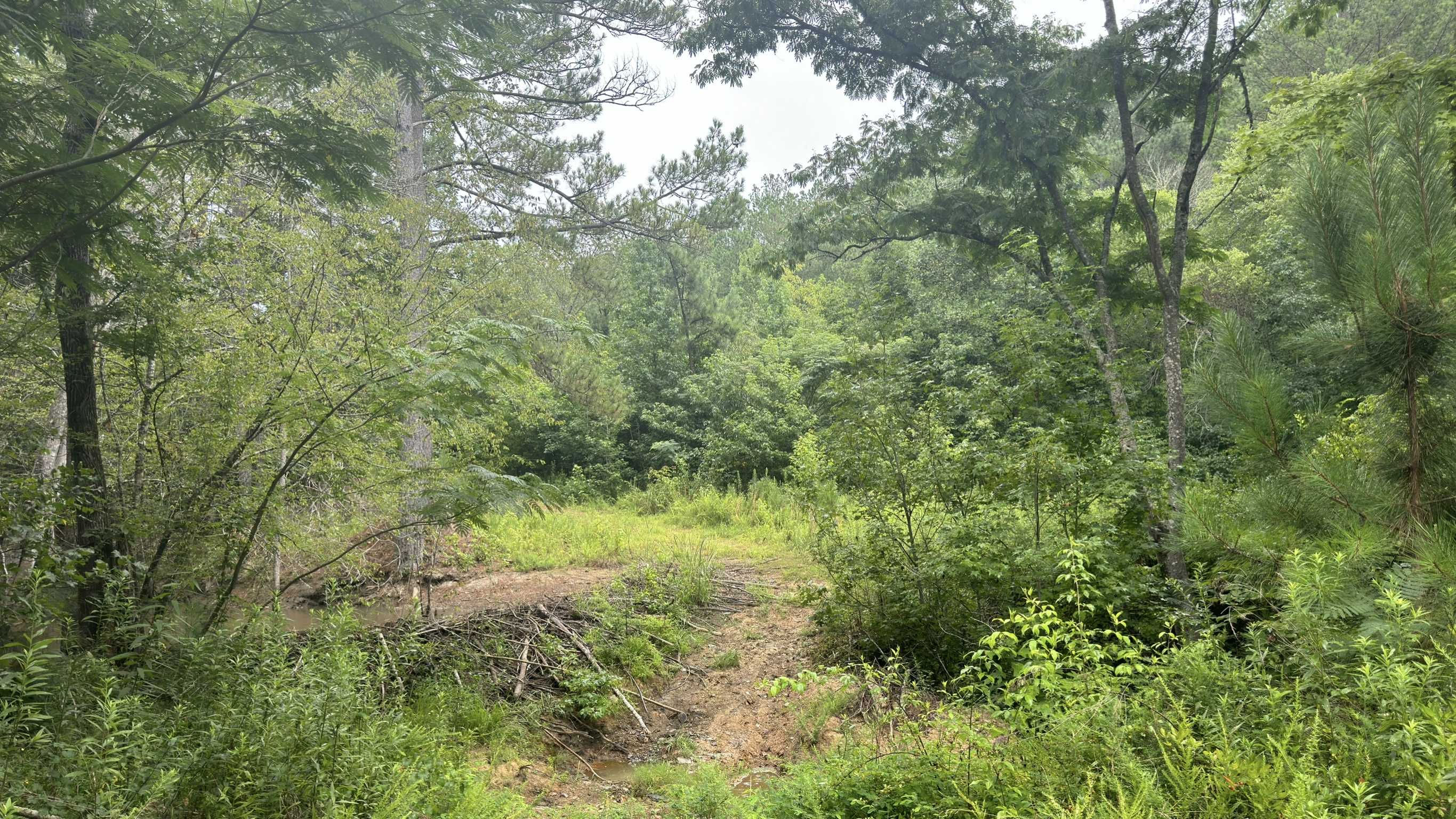 Levine Road, Odenville, AL, USA, 35120 - Thumbnail 5