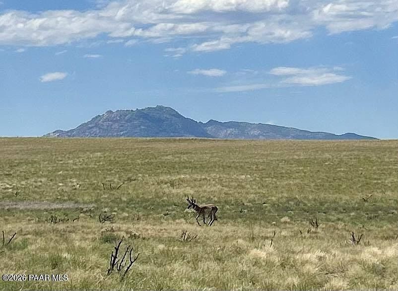 40-A E Norma Dr #3 Prescott Valley, AZ 86315 - Thumbnail 5