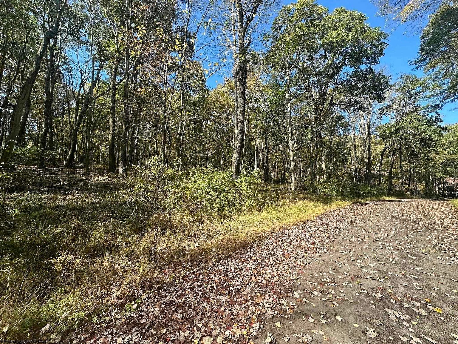 20 Rhododendron Dr Terra Alta, WV 26764 - Thumbnail 5