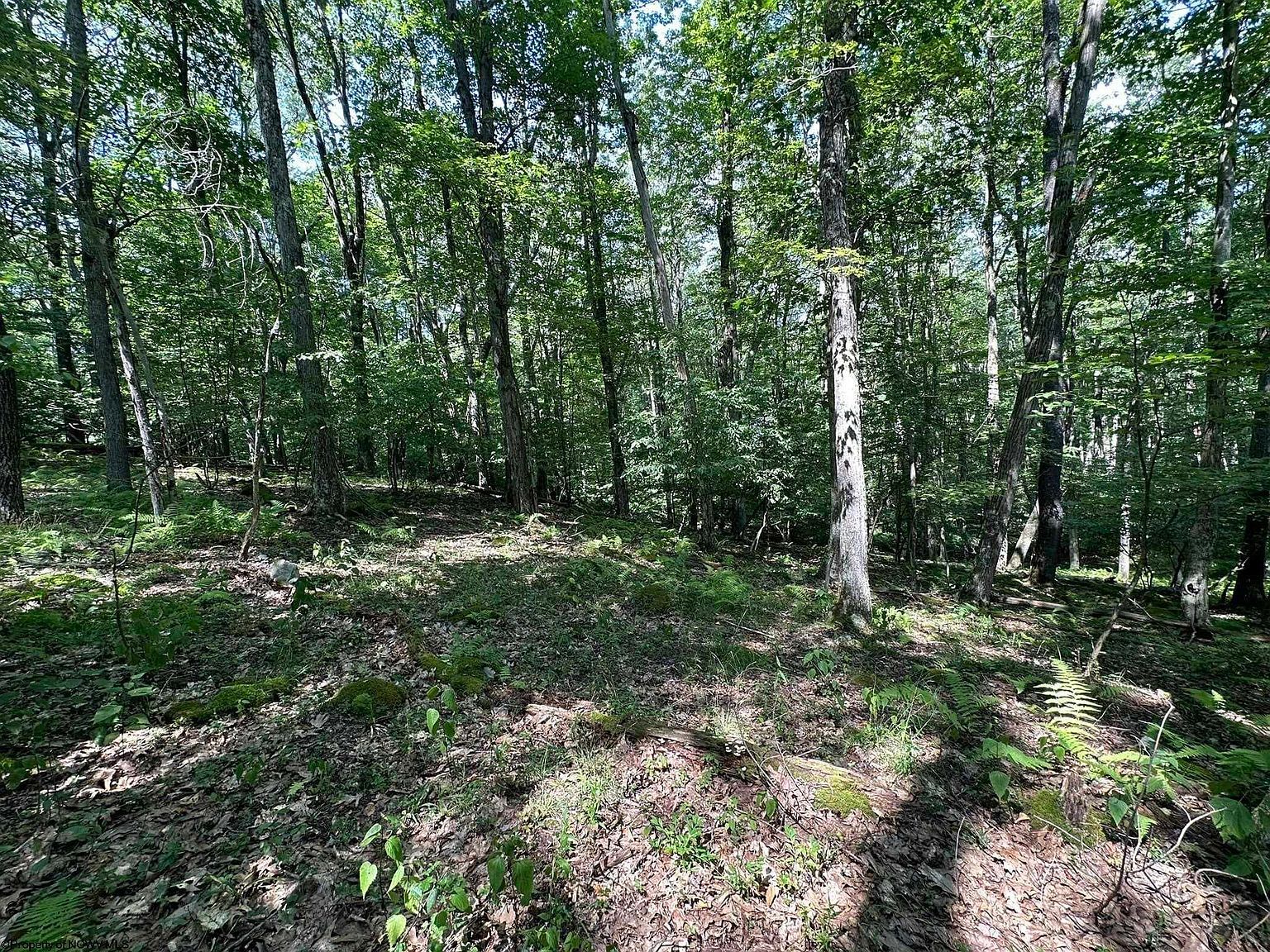 106 & 107 Lakeview Dr Terra Alta, WV 26764 - Thumbnail 5