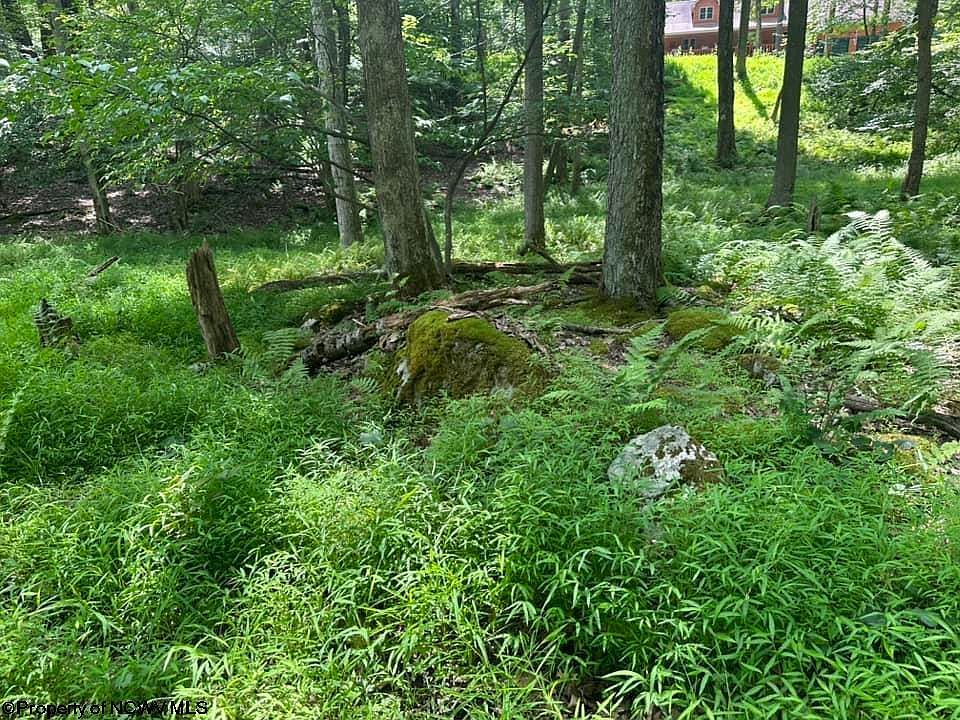 10 Aster Dr Terra Alta, WV 26764 - Thumbnail 5