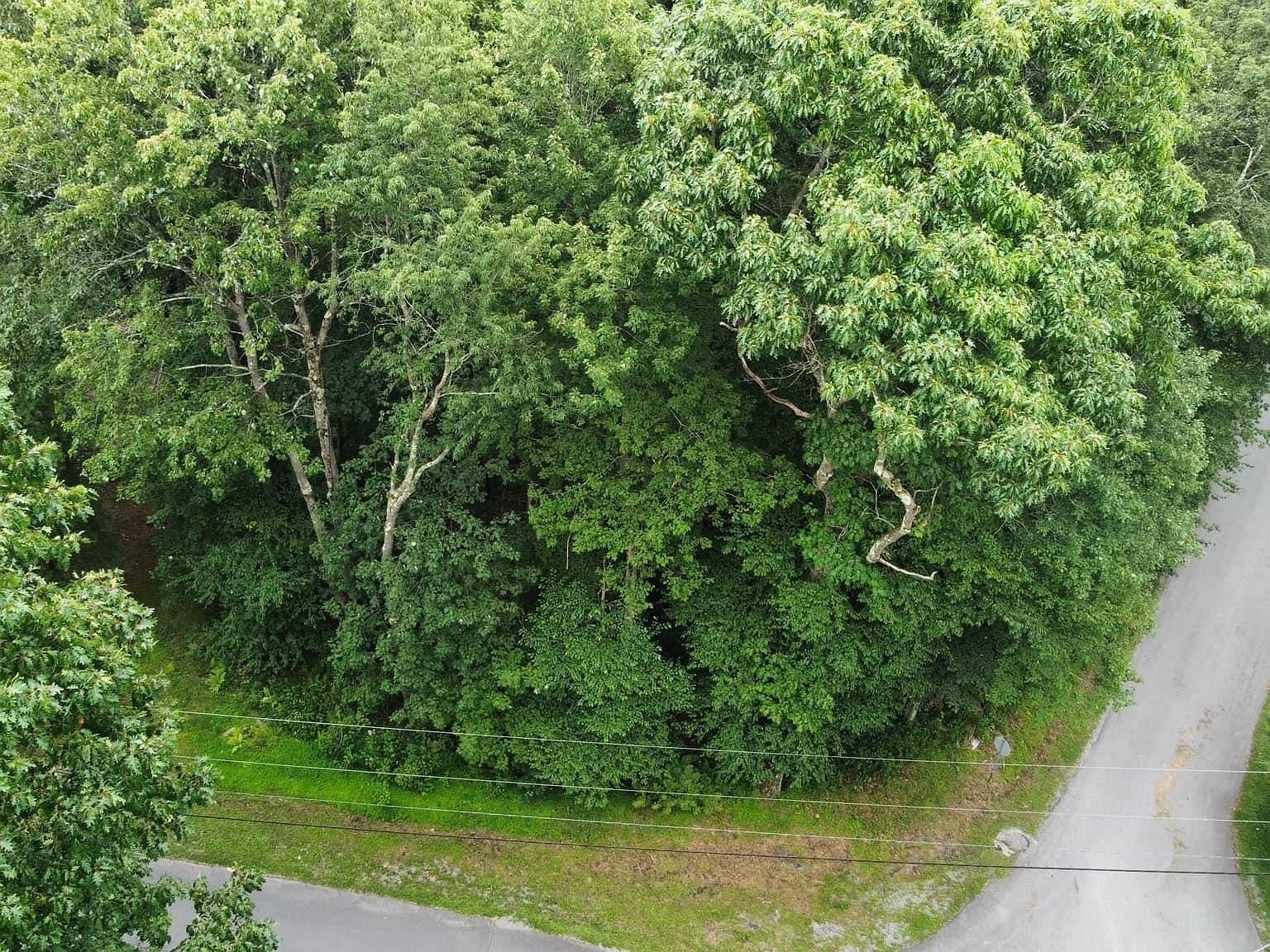 142 Dogwood Ln Terra Alta, WV 26764 - Thumbnail 5