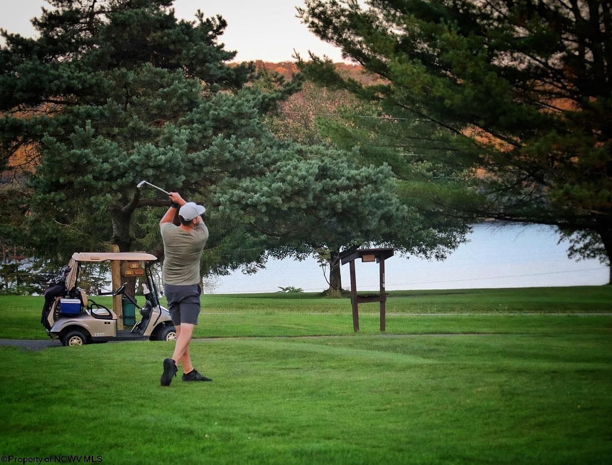 198 Grosbeak Dr Terra Alta, WV 26764 - Thumbnail 5