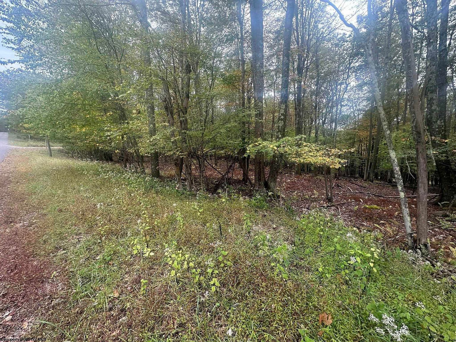 Lots 27 & 28 Alpine Dr Terra Alta, WV 26764 - Thumbnail 5