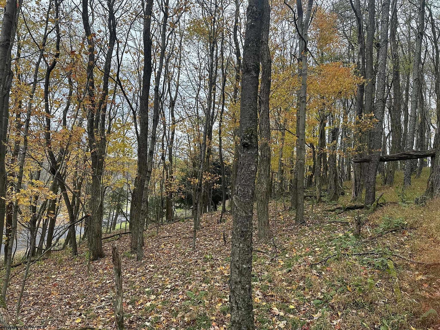 125/51 W Alpine Dr Terra Alta, WV 26764 - Thumbnail 5