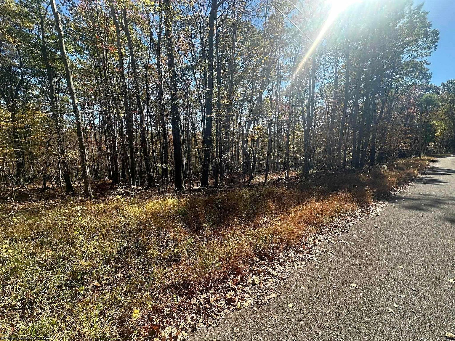 470 Redwood Dr Terra Alta, WV 26764 - Thumbnail 5