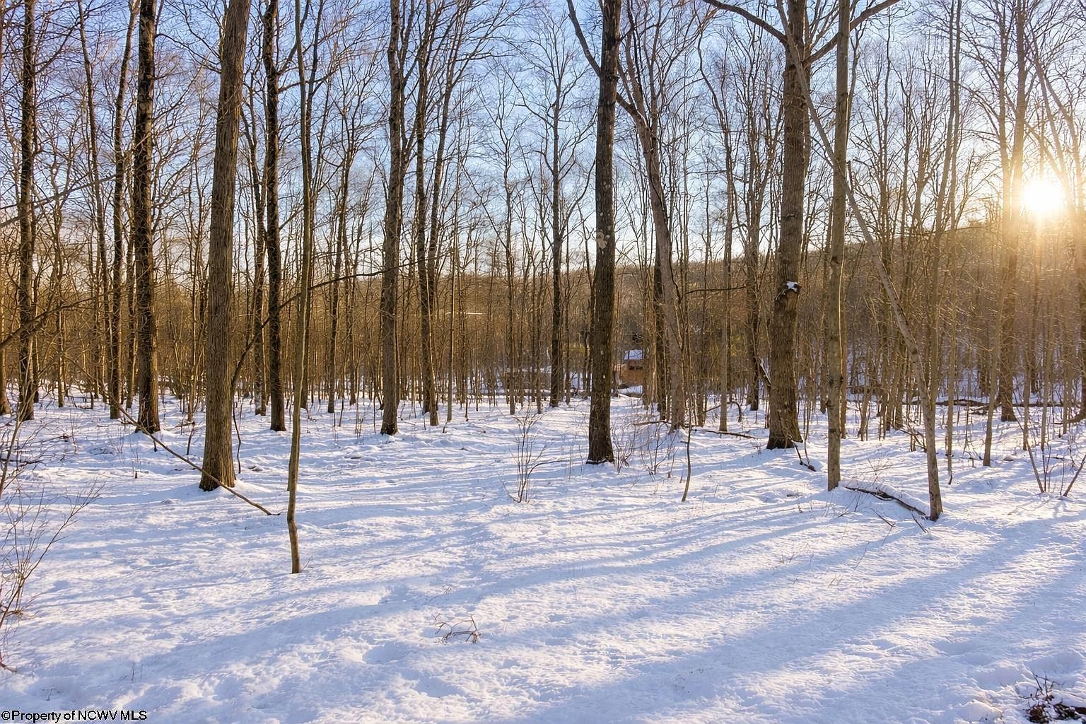 Ash Ct Terra Alta, WV 26764 - Thumbnail 5