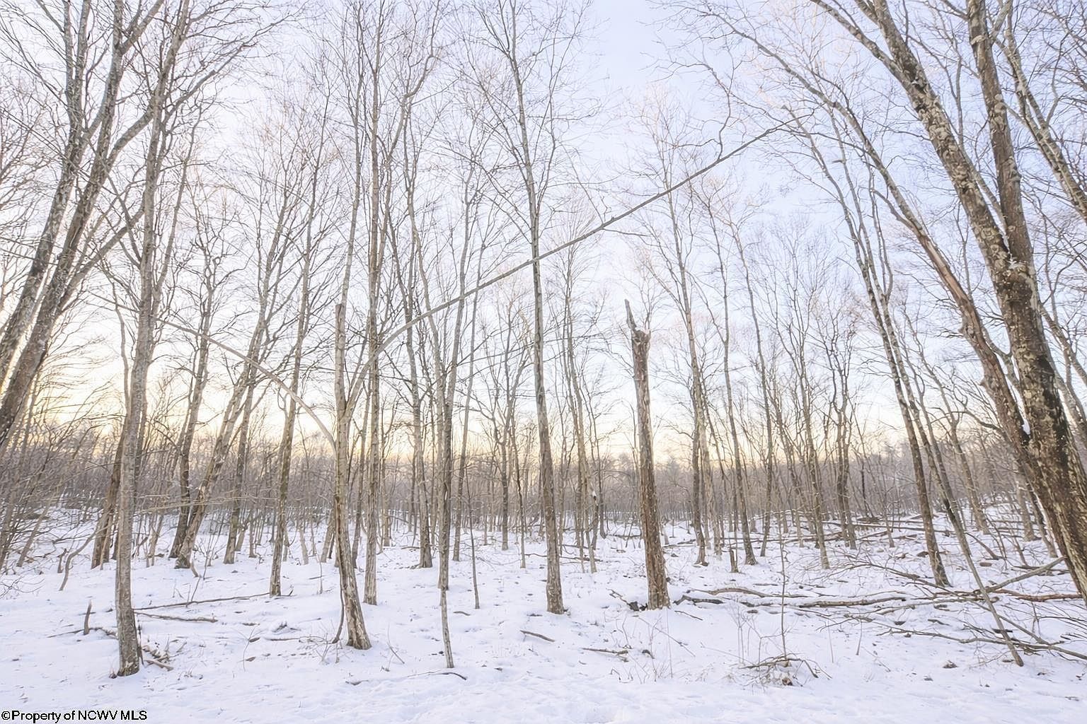 Columbine Cir Terra Alta, WV 26764 - Thumbnail 5