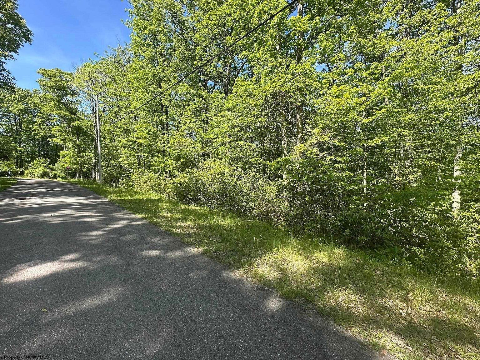 65 Pine Dr Terra Alta, WV 26764 - Thumbnail 5