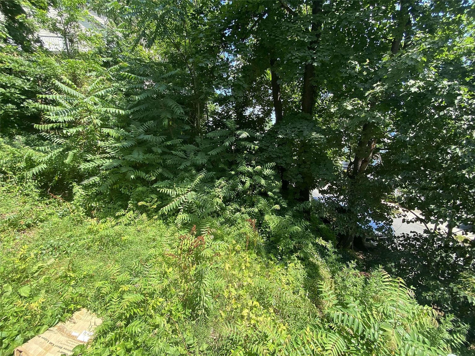 422 Nuber Ave Mount Vernon, NY 10553 - Thumbnail 5