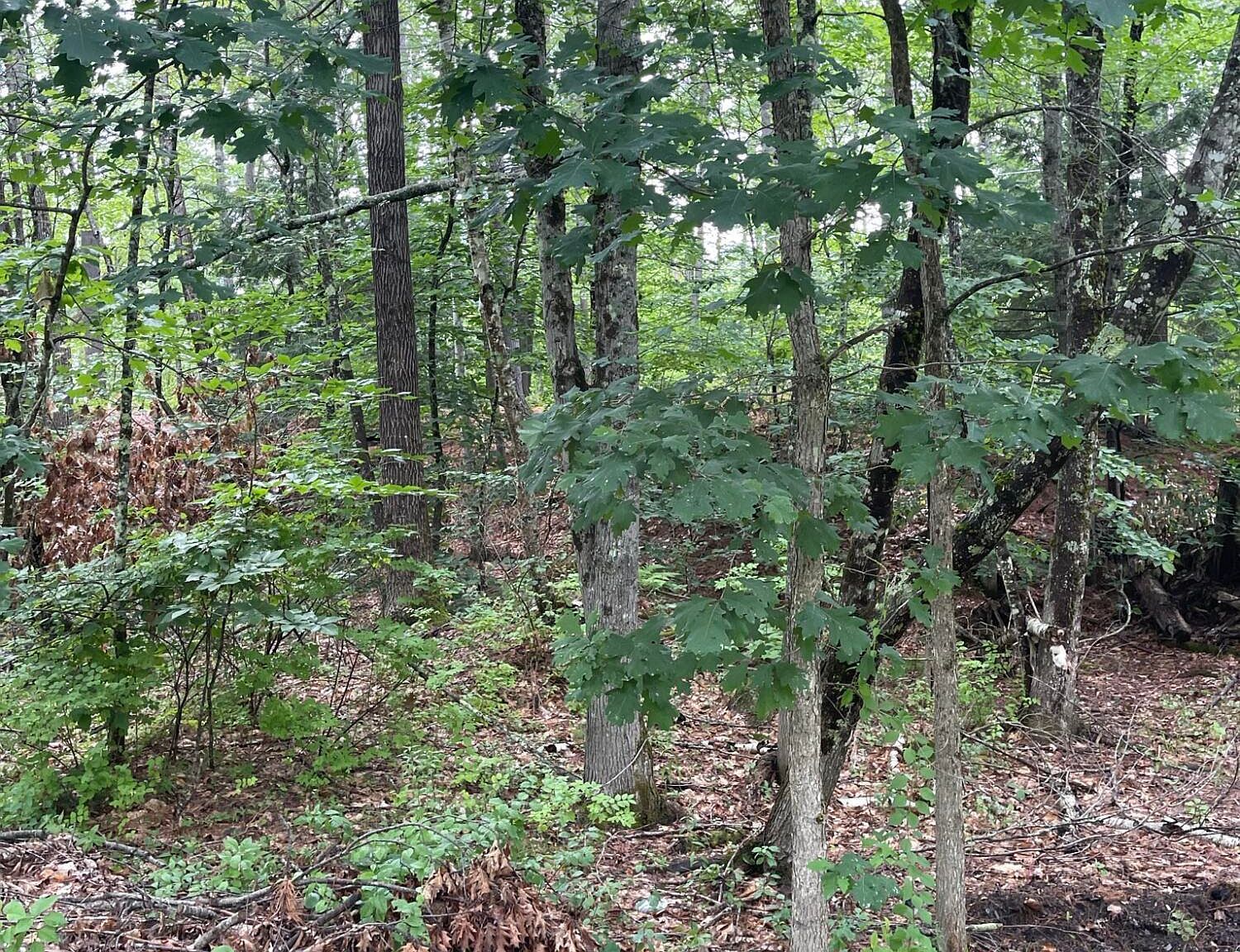 11 Dillingham Rd Naples, ME 04055 - Thumbnail 5