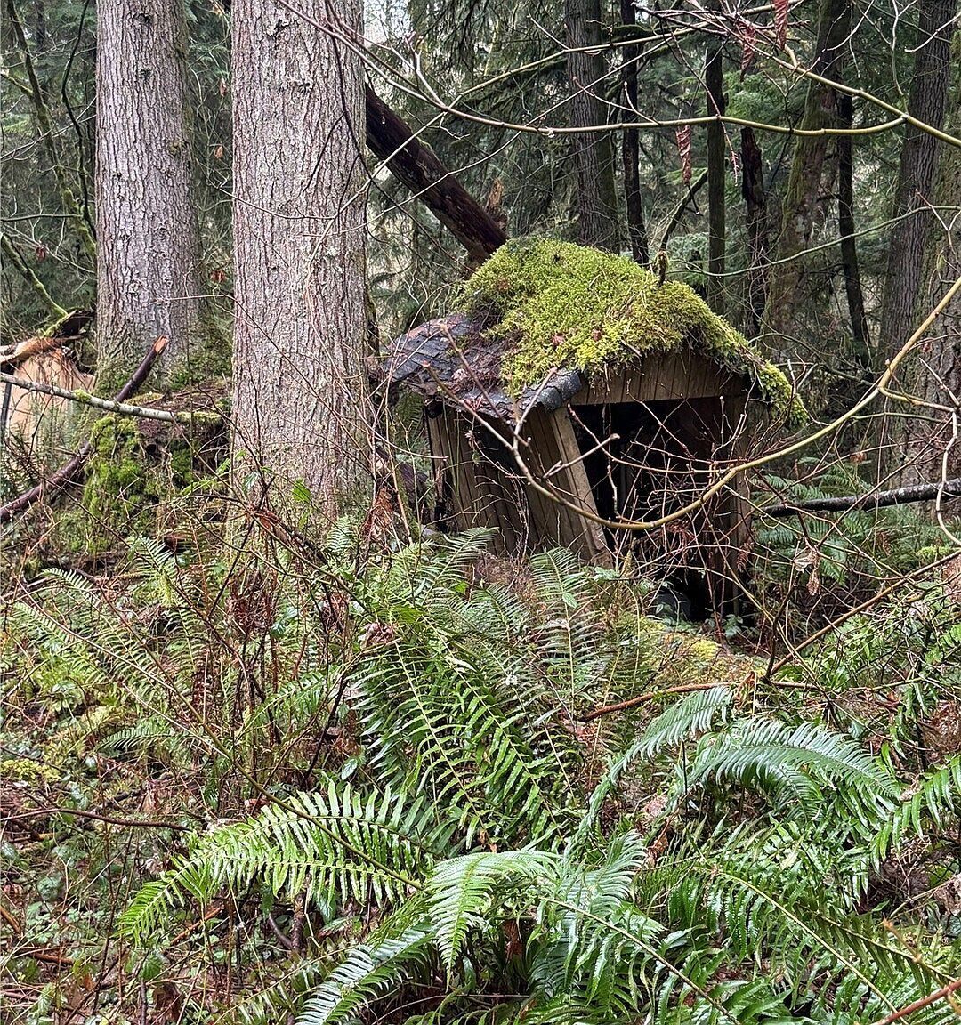 12313 150th St NE Arlington, WA 98223  | Land/Lot