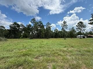1704 Watson Rd Defuniak Springs, FL 32433 - Thumbnail 5