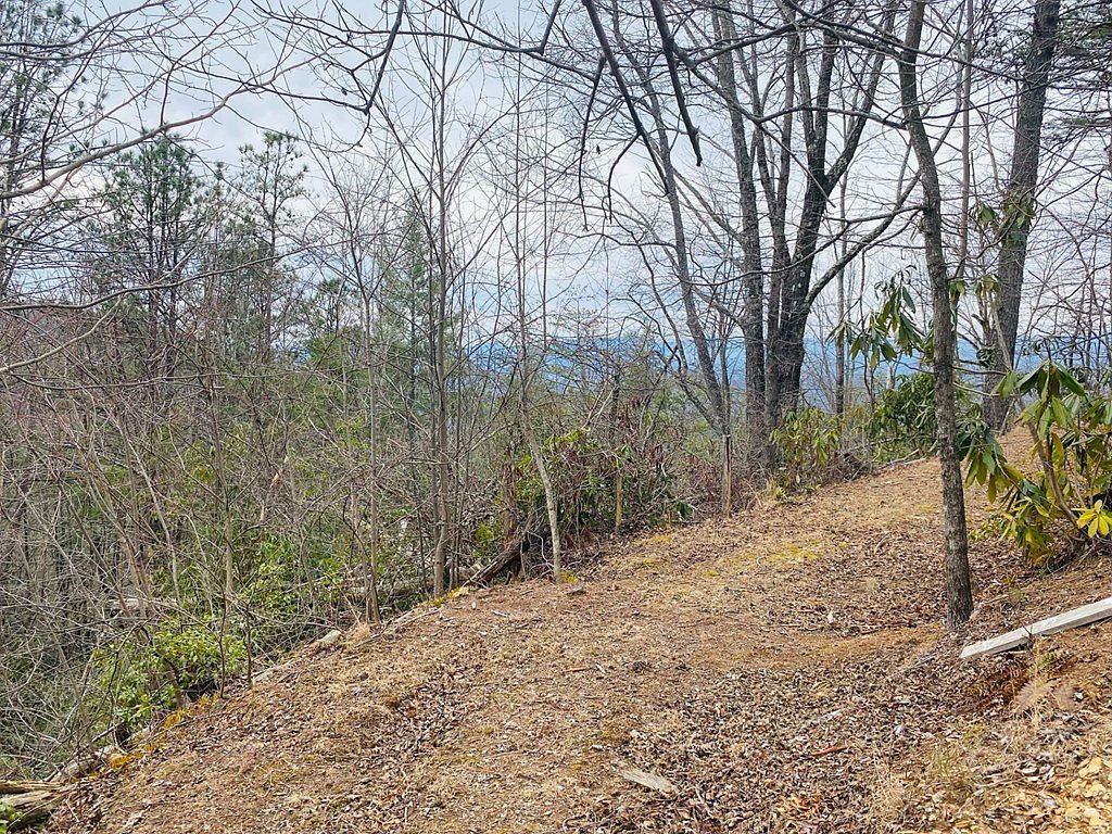 LOT 46 Ridge View Dr Andrews, NC 28901 - Thumbnail 5