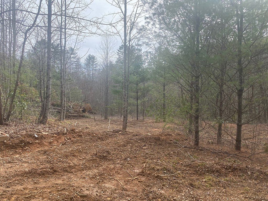 0 Flea Mountain Rd Murphy, NC 28906 - Thumbnail 5