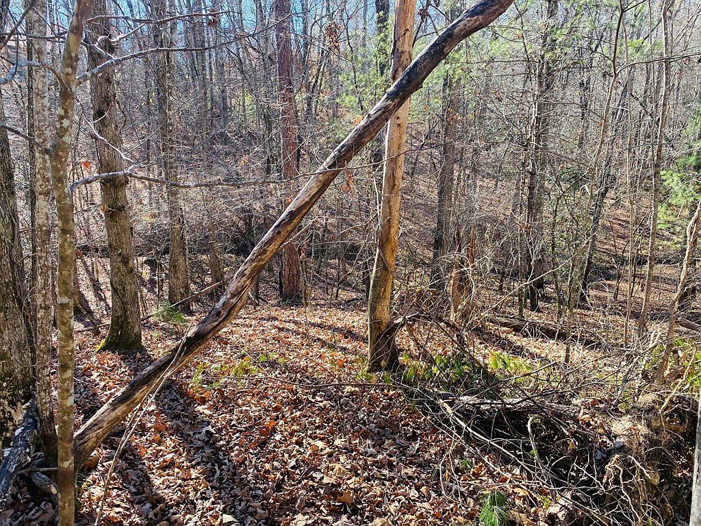 LOT 205 Windy Mountain Peak Murphy, NC 28906 - Thumbnail 5