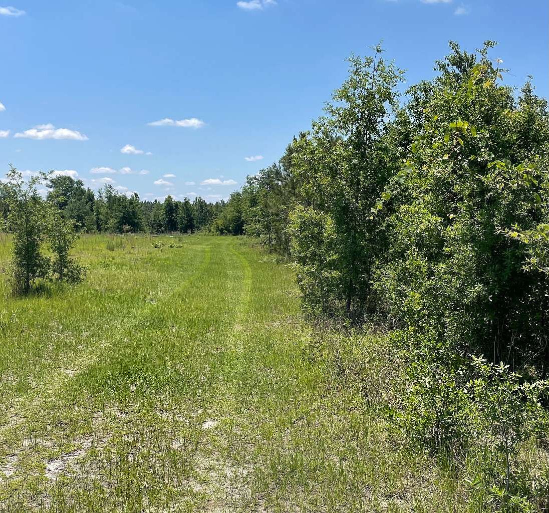 Off Southwest Cres #141 Jasper, FL 32052 - Thumbnail 5