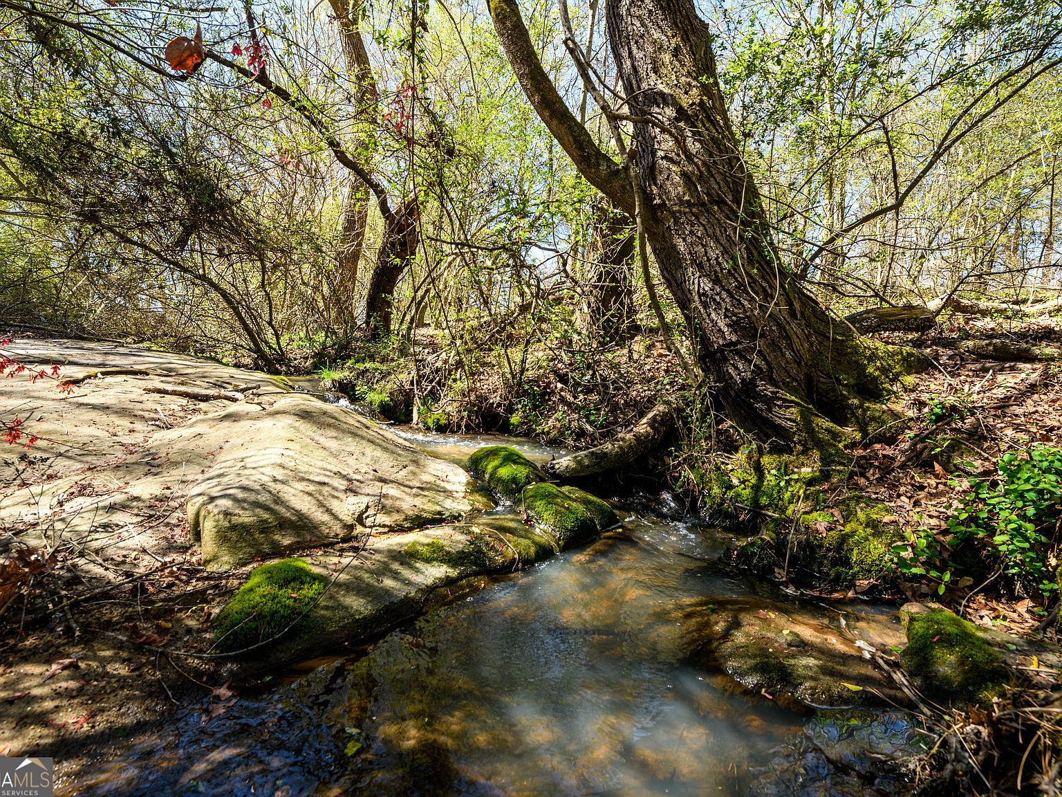 0 Dee Kennedy Rd Auburn, GA 30011 - Thumbnail 5