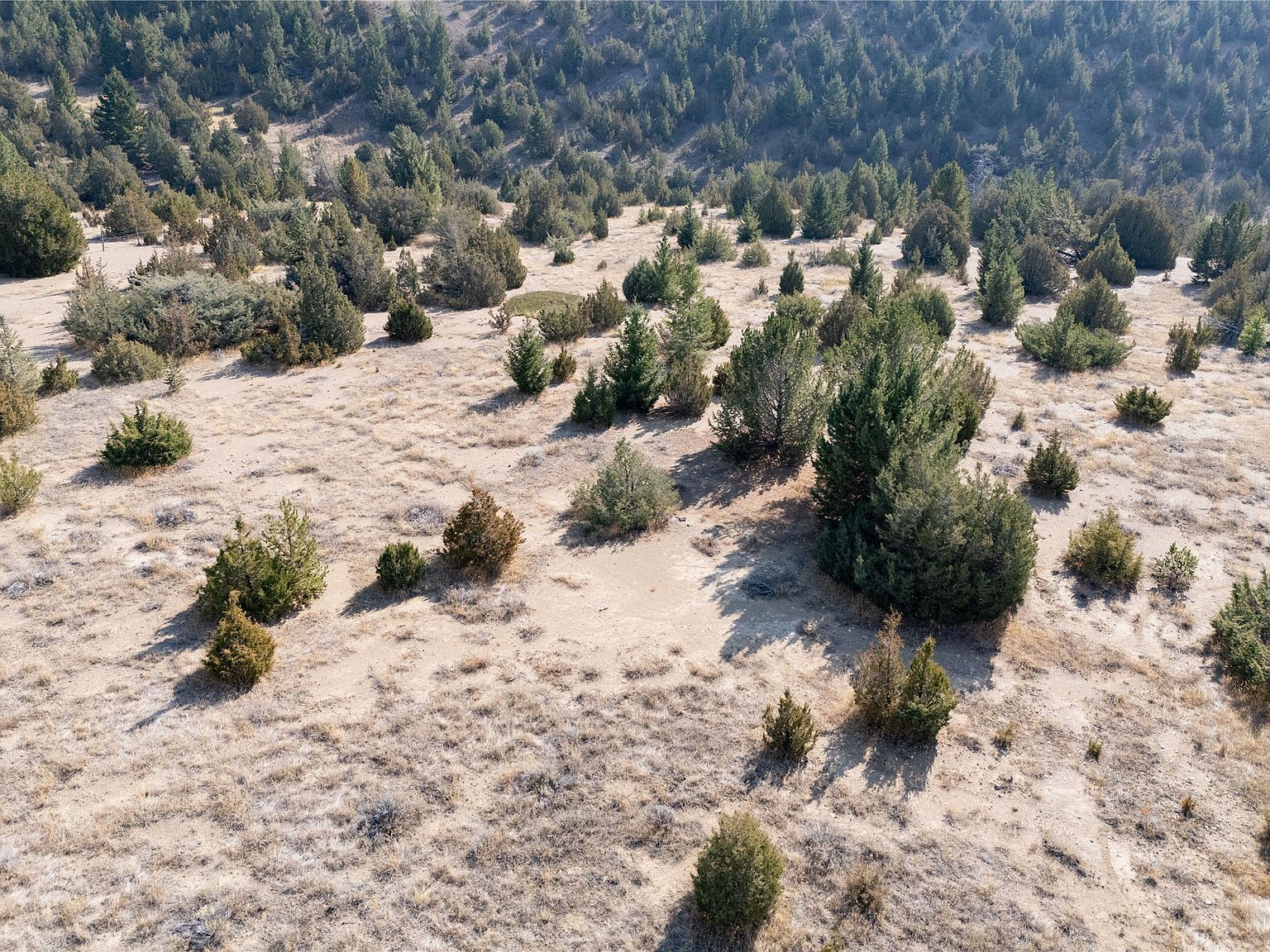 Nhn Trails End Dr Anaconda, MT 59711 - Thumbnail 5