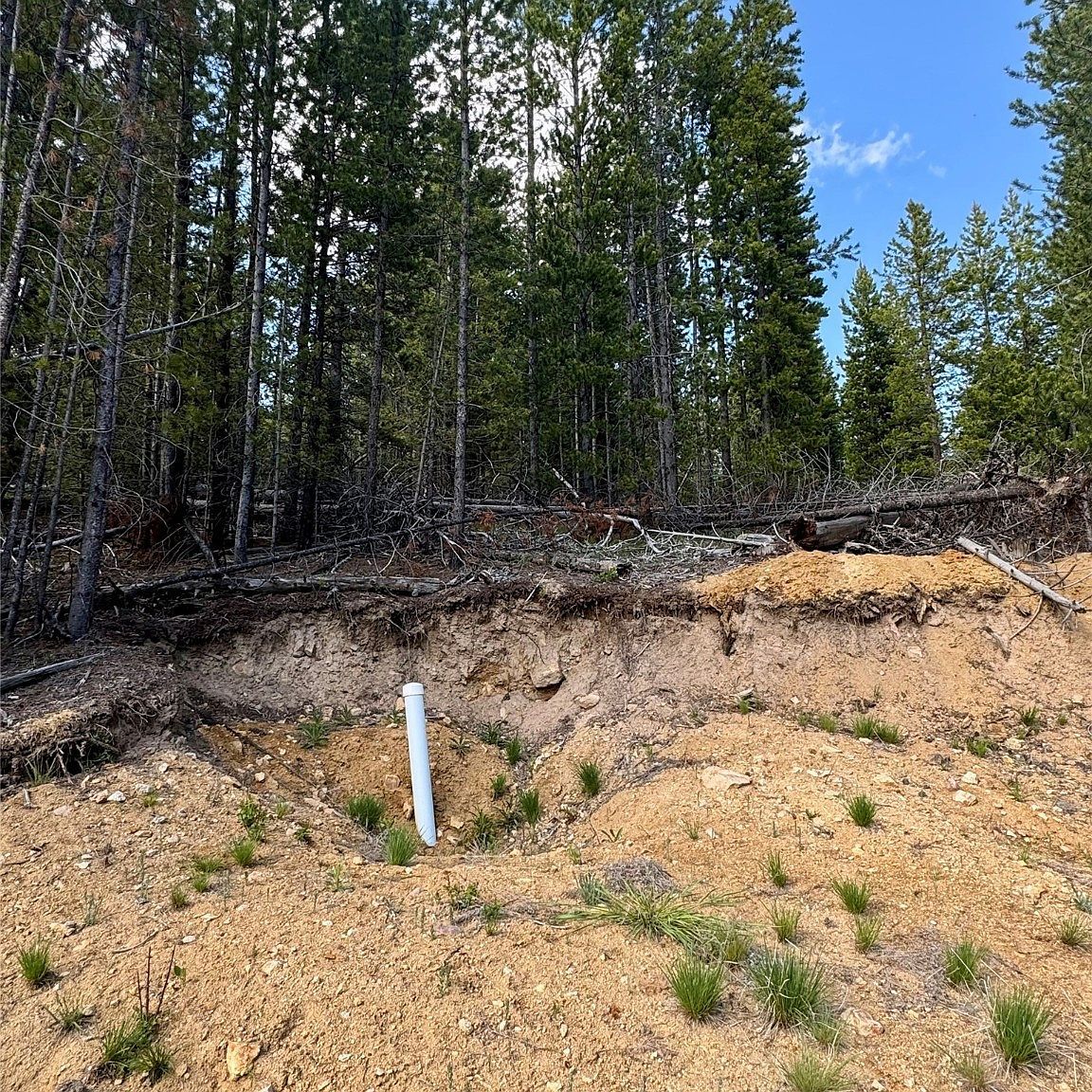 Nhn Perkins Gulch Rd Anaconda, MT 59711 - Thumbnail 5