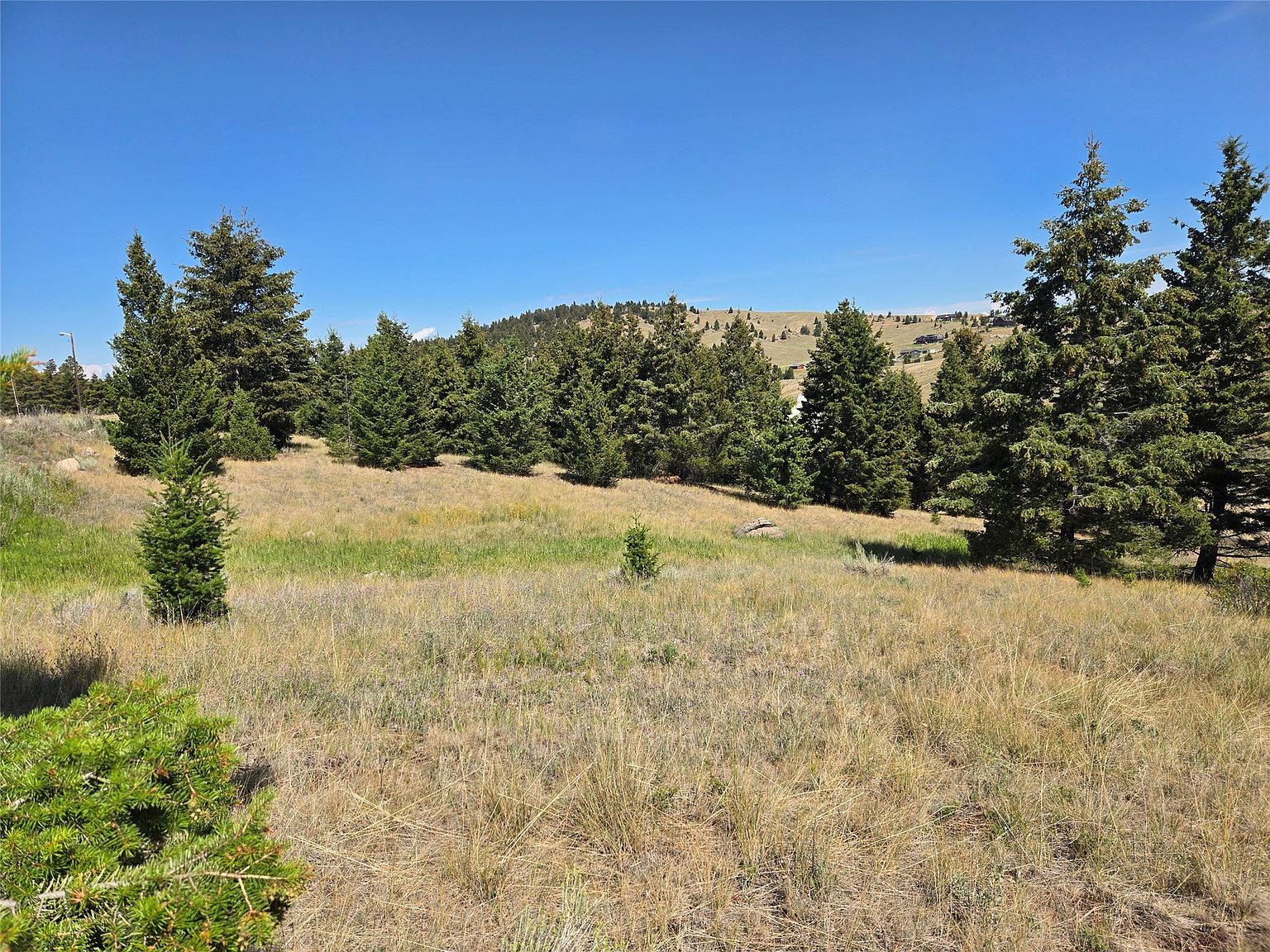 LOT 84 Chalet Loop Butte, MT 59701 | Land/Lot