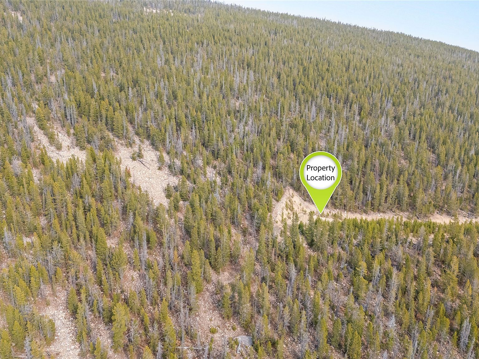 Nhn Rosa Trl Anaconda, MT 59711 - Thumbnail 5