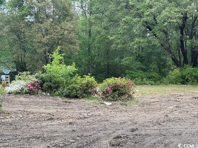 2840 Sheppard Ct Mullins, SC 29574 - Thumbnail 5