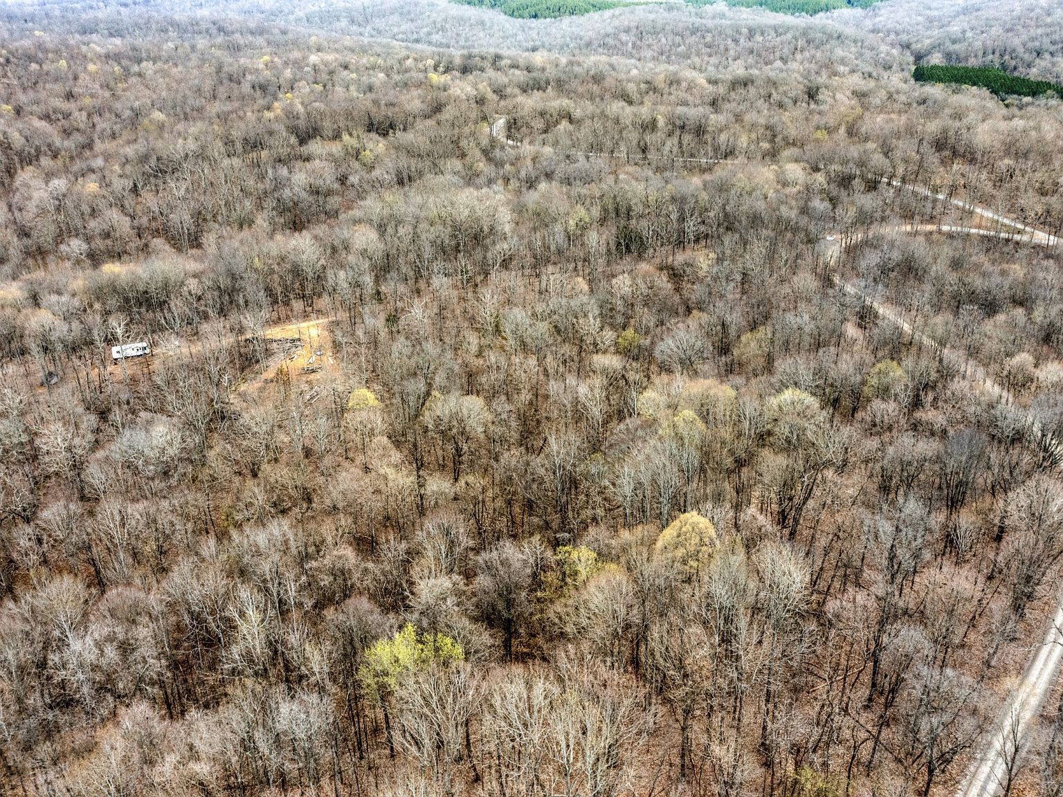 260 Lineport Rd Bumpus Mills, TN 37028 | Land/Lot