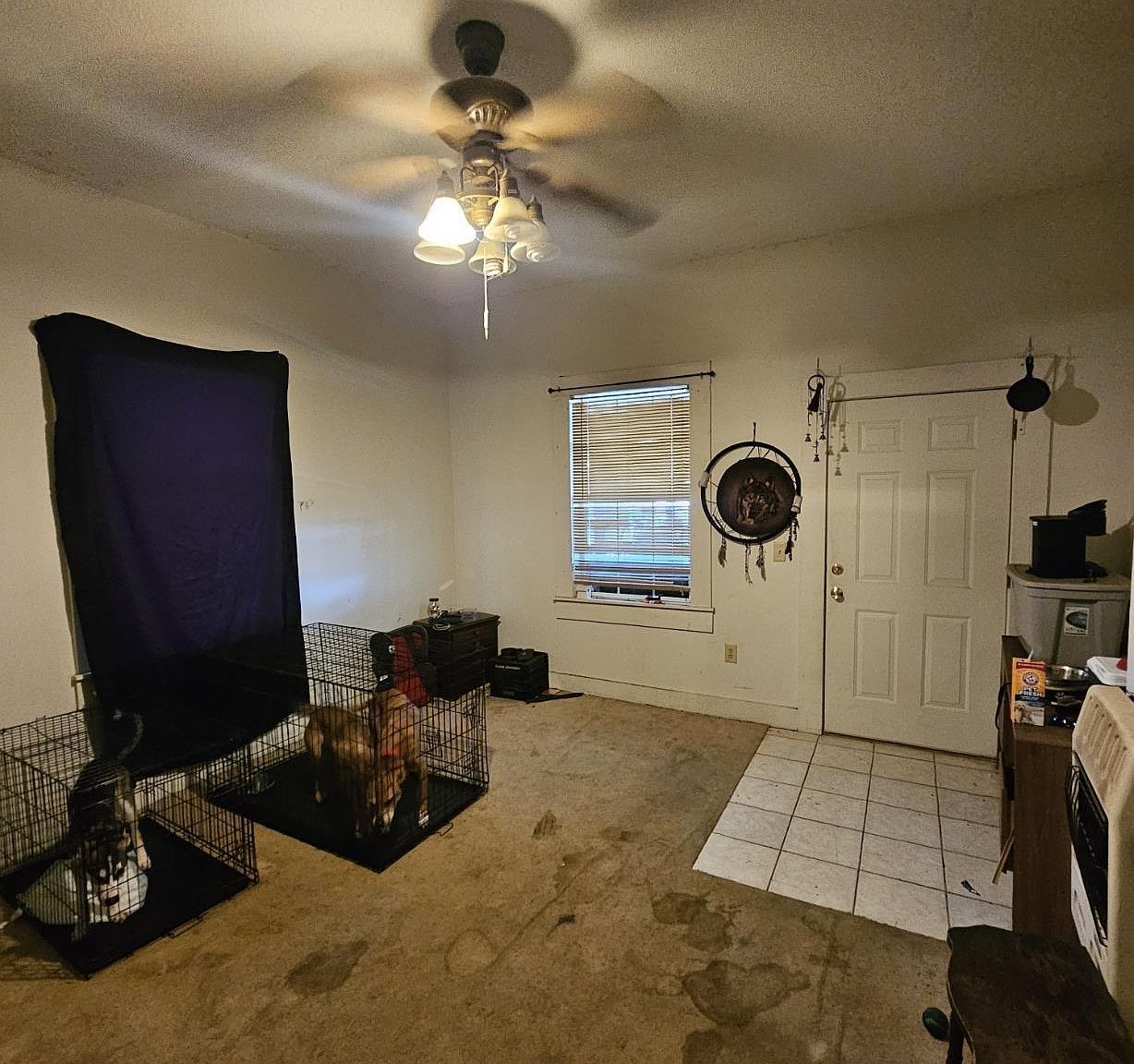 507 27th St N Pell City, AL 35125 - Thumbnail 5