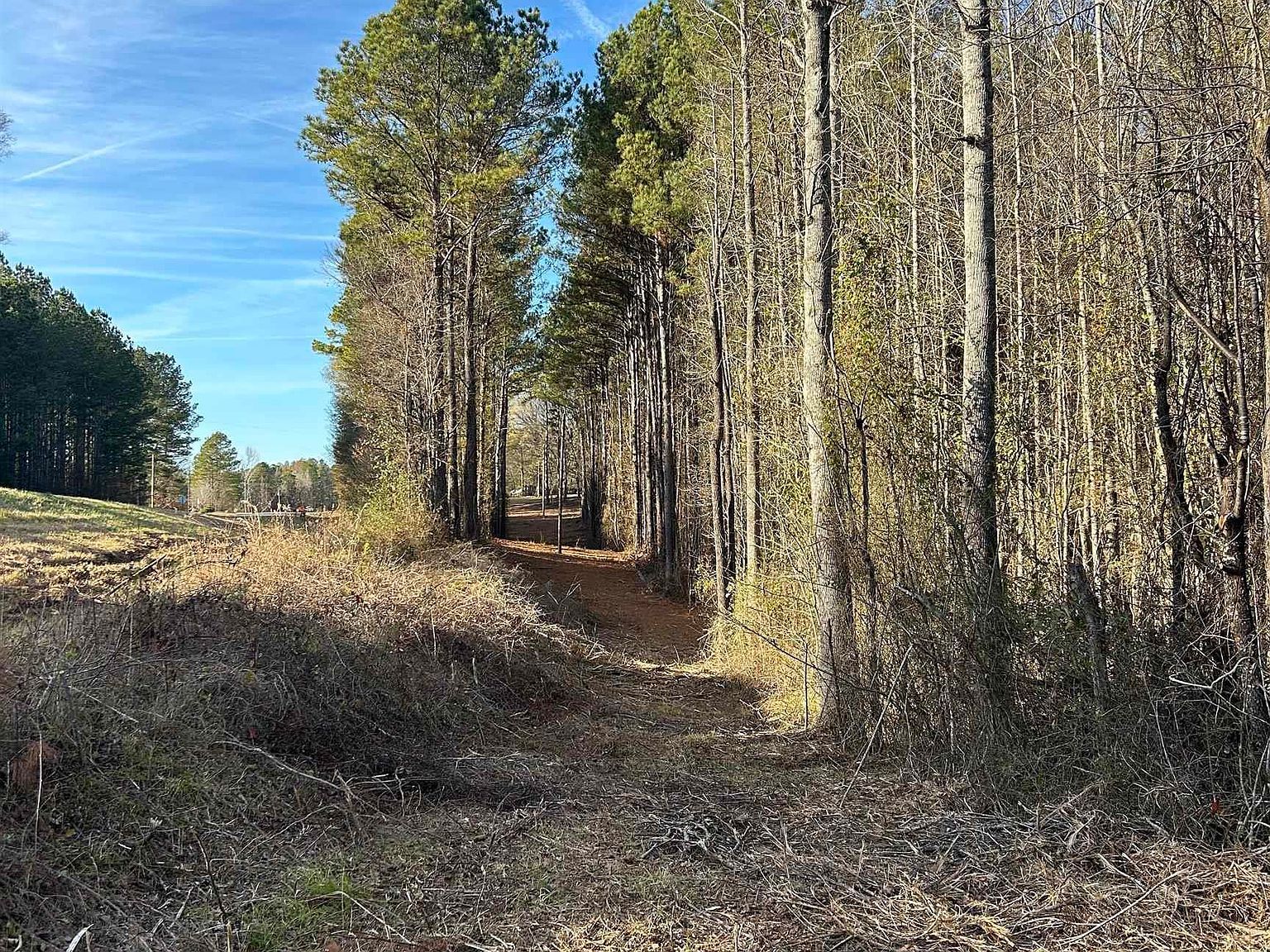 0 Highway 431 #0 Heflin, AL 36264 - Thumbnail 5