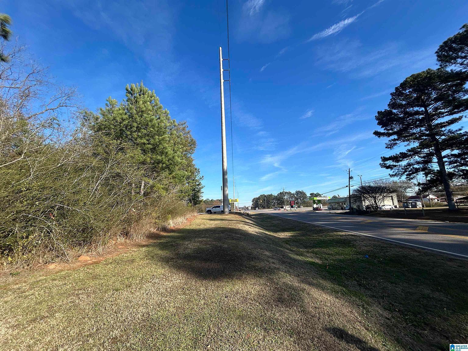 0 Hwy 78 Eastaboga, AL 36260 - Thumbnail 5