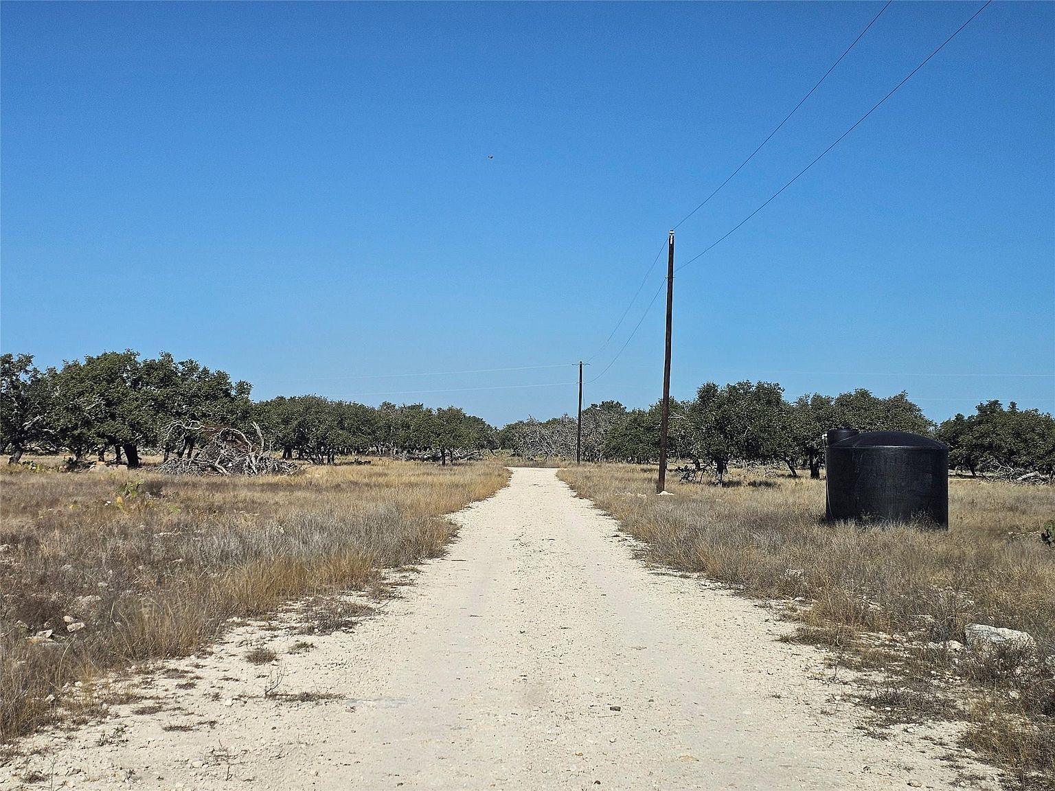 Crooked Tree Cir Harper, TX 78631 - Thumbnail 5