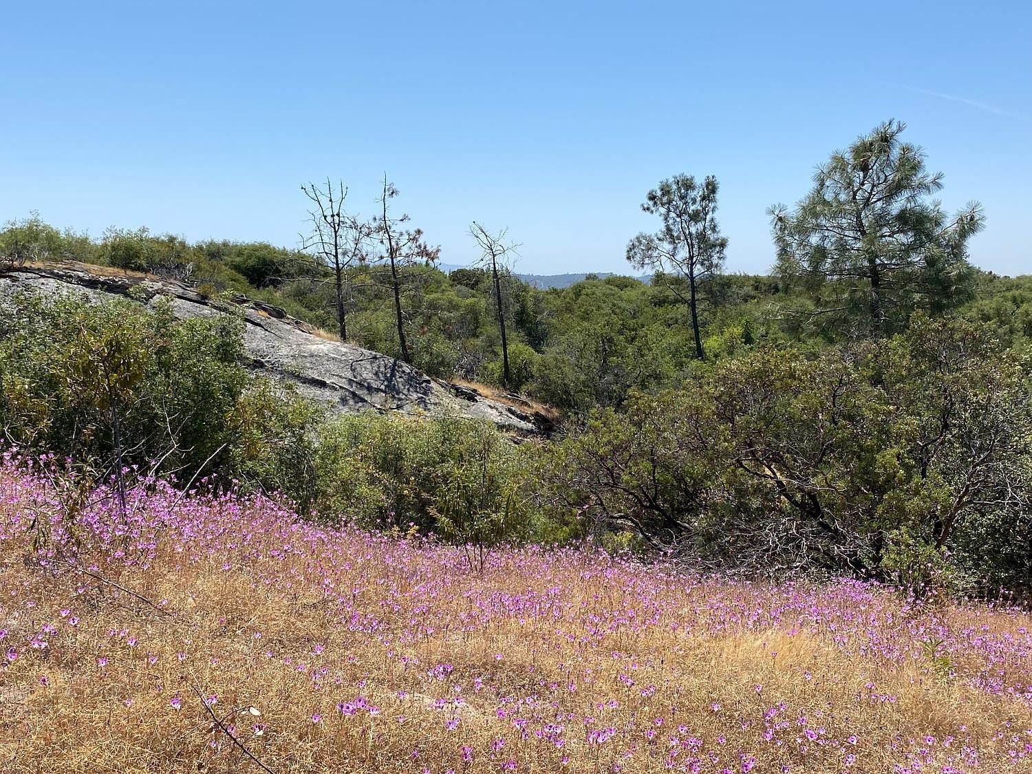 0 Flying O Ranch Rd Coarsegold, CA 93614 - Thumbnail 5