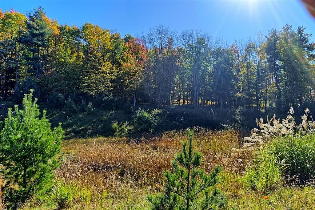 225 Southwood Dr #&-217 Vestal, NY 13850 - Thumbnail 5