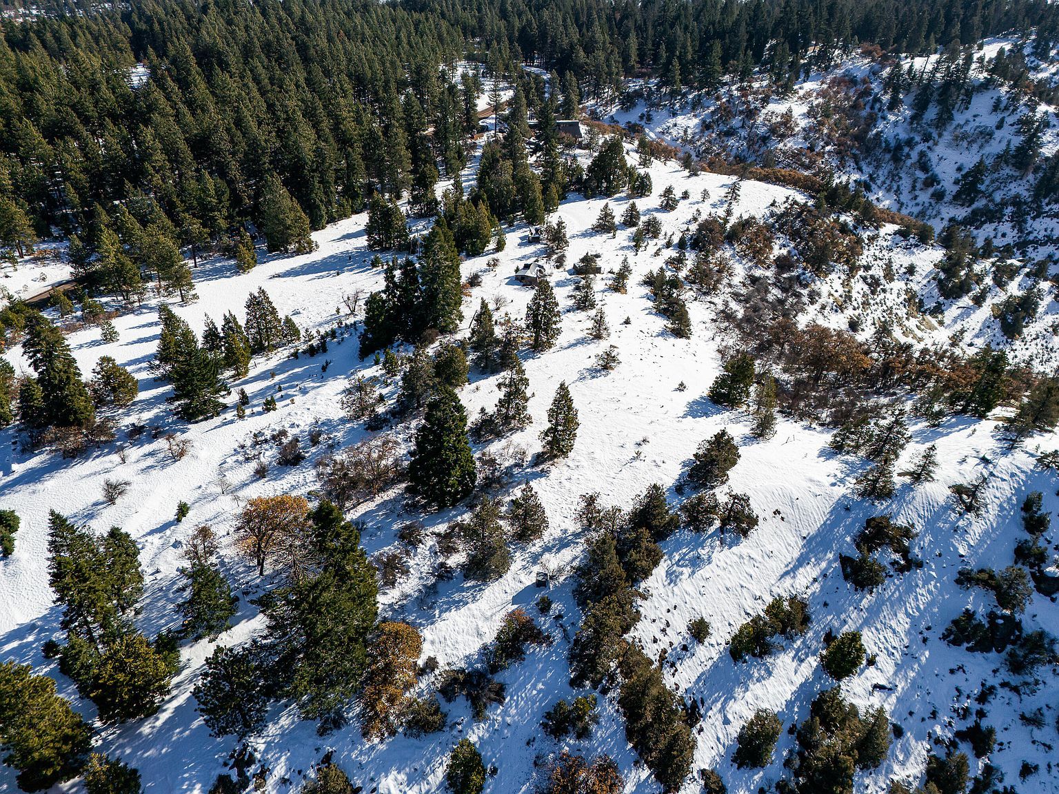 9840 Mount Ashland Ski Rd Ashland, OR 97520 - Thumbnail 5