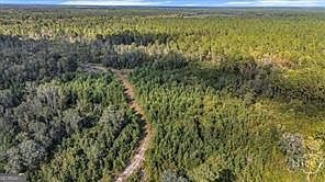 641 Us Highway 80 Hwy E Ellabell, GA 31308 - Thumbnail 5