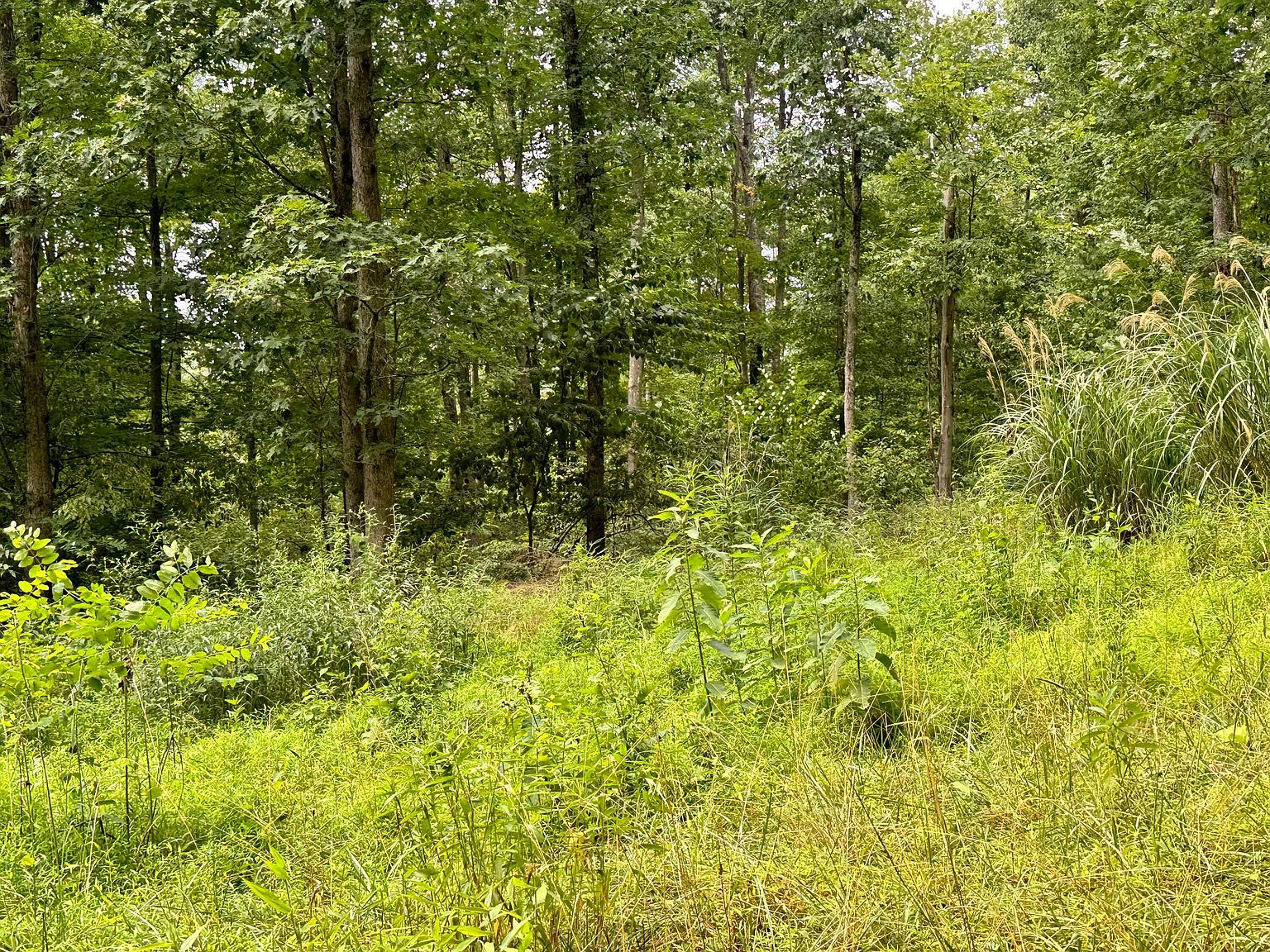 0 Ishman Rd Brookville, PA 15825  | Land/Lot